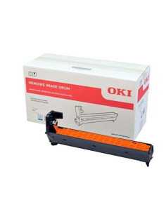 EP-CART-C-C813