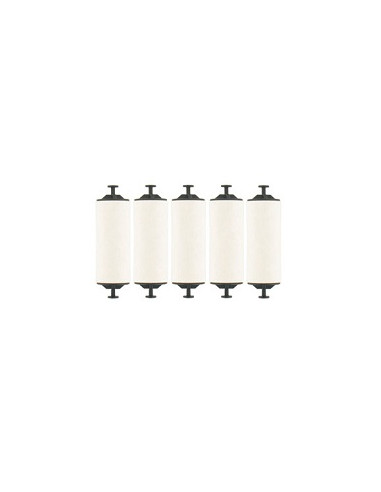 KIT CLEANING ROLLERS CASSETTE ZXP1