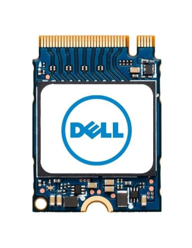 Dell M 2 PCIe NVME Class 35 2230 SS