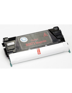  Toner a Colori B0973 6.000 copie 
MAGENTA Confezione da 1 (Compatibile Olivetti Cod. Originale B0973)