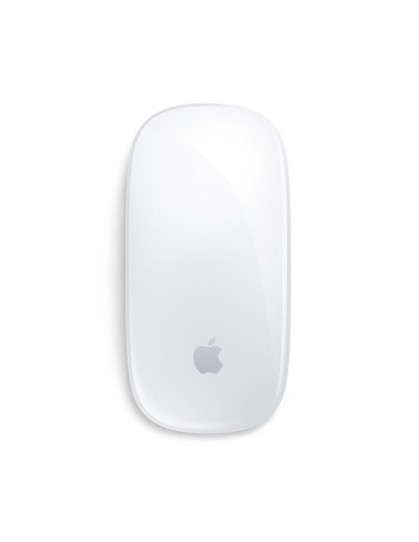 APPLE  MAGIC MOUSE - SUPERFICIE MUL