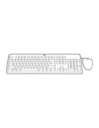 HP USB BFR-PVC IT KEYBOARD MOUSE