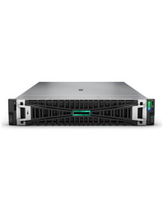 SMART CHOICE HPE DL380 G11 4510 64G