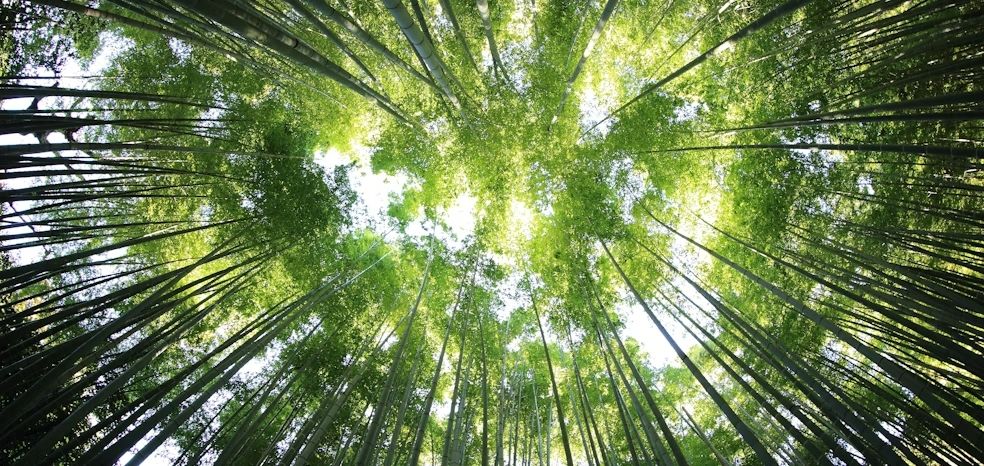 tecnolaser e ambiente